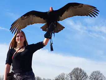 Workshop Roofvogels